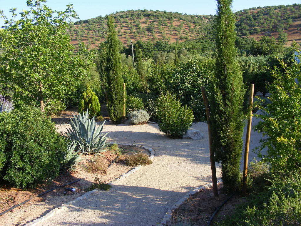 Fazendinha - Tavira - Spacious And Tranquil酒店 外观 照片