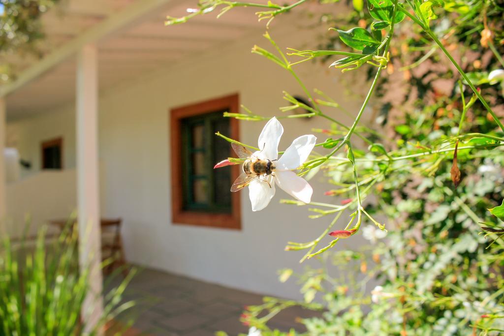 Fazendinha - Tavira - Spacious And Tranquil酒店 外观 照片